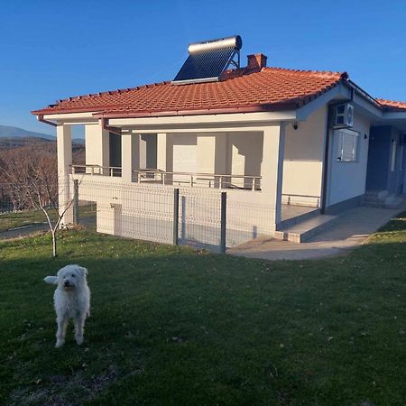 Villa With Mountain View Gevgelija Eksteriør bilde